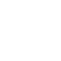 Vidya Yoga